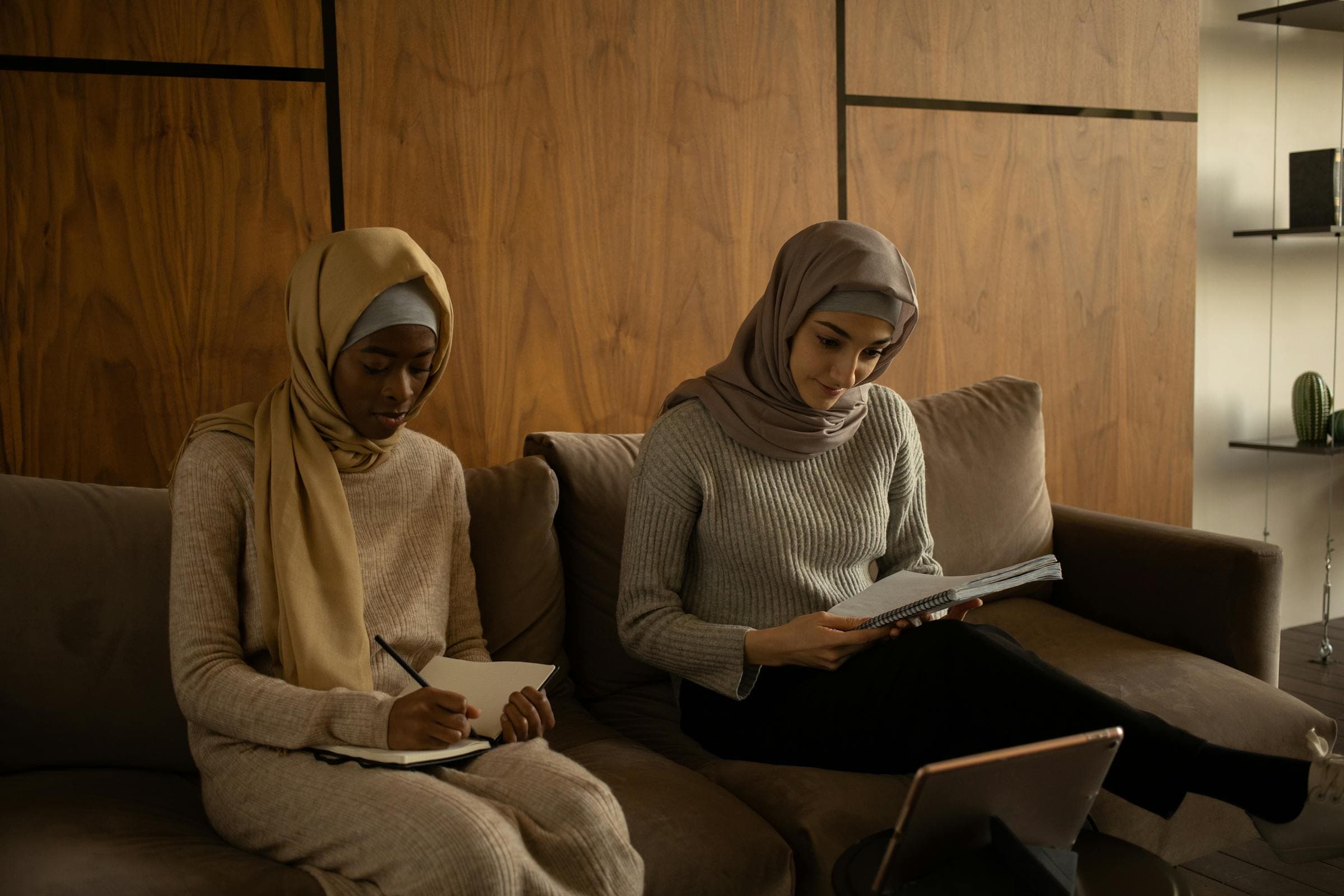 A pair of students learning together, mentor and mentee